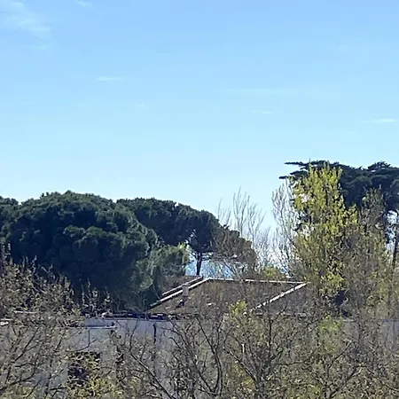 Joli T2 Confort, Piscine, Superbe Terrasse A 300m De La *
