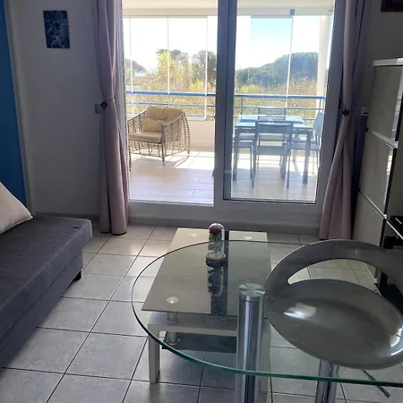 Joli T2 Confort, Piscine, Superbe Terrasse A 300m De La *